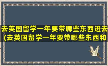 去英国留学一年要带哪些东西进去(去英国留学一年要带哪些东西和东西)