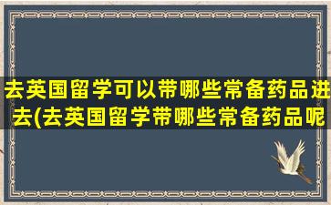 去英国留学可以带哪些常备药品进去(去英国留学带哪些常备药品呢)