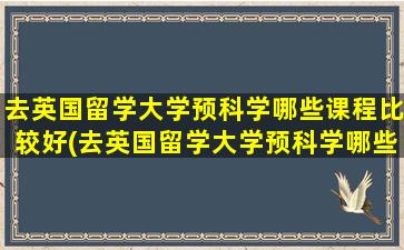 去英国留学大学预科学哪些课程比较好(去英国留学大学预科学哪些课程合适)