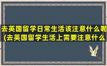 去英国留学日常生活该注意什么呢(去英国留学生活上需要注意什么)