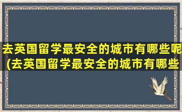 去英国留学最安全的城市有哪些呢(去英国留学最安全的城市有哪些国家)