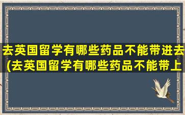 去英国留学有哪些药品不能带进去(去英国留学有哪些药品不能带上飞机)