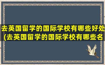 去英国留学的国际学校有哪些好处(去英国留学的国际学校有哪些名字)