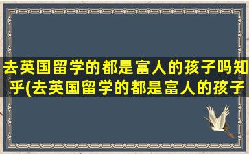 去英国留学的都是富人的孩子吗知乎(去英国留学的都是富人的孩子嘛)