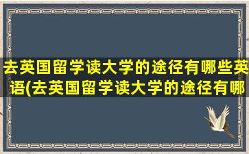 去英国留学读大学的途径有哪些英语(去英国留学读大学的途径有哪些专业)