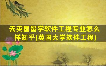 去英国留学软件工程专业怎么样知乎(英国大学软件工程)