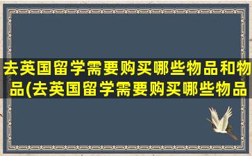 去英国留学需要购买哪些物品和物品(去英国留学需要购买哪些物品和东西)