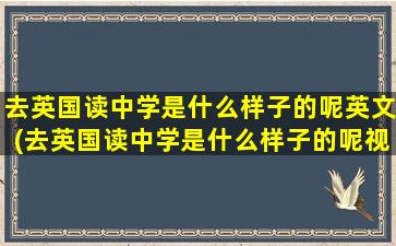 去英国读中学是什么样子的呢英文(去英国读中学是什么样子的呢视频)