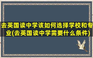 去英国读中学该如何选择学校和专业(去英国读中学需要什么条件)