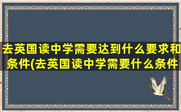 去英国读中学需要达到什么要求和条件(去英国读中学需要什么条件)