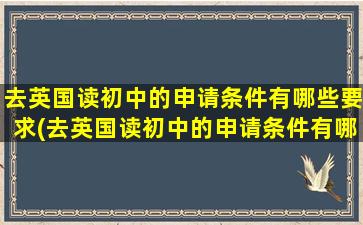 去英国读初中的申请条件有哪些要求(去英国读初中的申请条件有哪些学校)