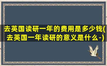 去英国读研一年的费用是多少钱(去英国一年读研的意义是什么-)