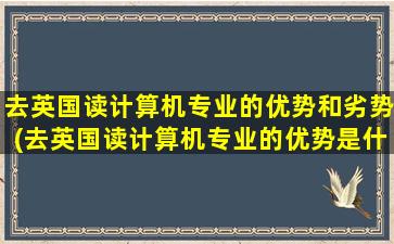 去英国读计算机专业的优势和劣势(去英国读计算机专业的优势是什么)