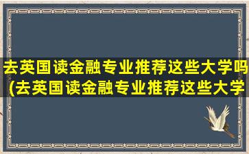 去英国读金融专业推荐这些大学吗(去英国读金融专业推荐这些大学可以吗)