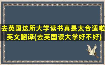 去英国这所大学读书真是太合适啦英文翻译(去英国读大学好不好)