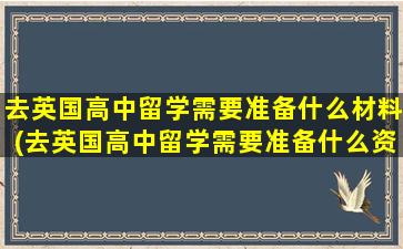 去英国高中留学需要准备什么材料(去英国高中留学需要准备什么资料)