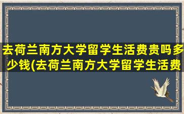 去荷兰南方大学留学生活费贵吗多少钱(去荷兰南方大学留学生活费贵吗)