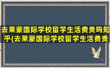 去莱蒙国际学校留学生活费贵吗知乎(去莱蒙国际学校留学生活费贵吗)