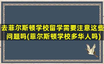 去菲尔斯顿学校留学需要注意这些问题吗(菲尔斯顿学校多华人吗)