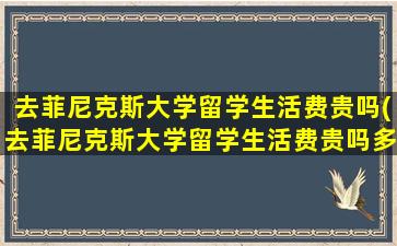 去菲尼克斯大学留学生活费贵吗(去菲尼克斯大学留学生活费贵吗多少钱)