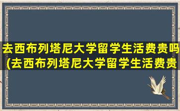 去西布列塔尼大学留学生活费贵吗(去西布列塔尼大学留学生活费贵吗多少钱)