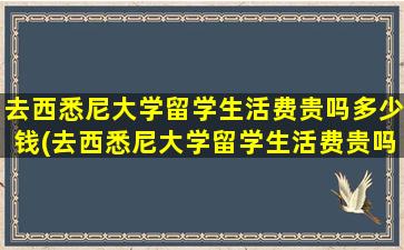 去西悉尼大学留学生活费贵吗多少钱(去西悉尼大学留学生活费贵吗现在)