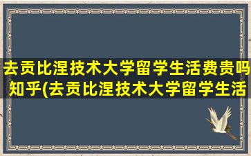 去贡比涅技术大学留学生活费贵吗知乎(去贡比涅技术大学留学生活费贵吗多少钱)