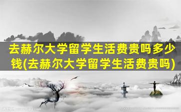 去赫尔大学留学生活费贵吗多少钱(去赫尔大学留学生活费贵吗)