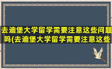 去迪堡大学留学需要注意这些问题吗(去迪堡大学留学需要注意这些问题的英文)