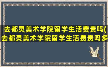 去都灵美术学院留学生活费贵吗(去都灵美术学院留学生活费贵吗多少钱)