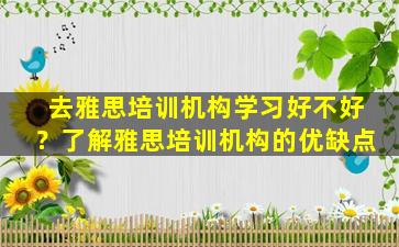 去雅思培训机构学习好不好？了解雅思培训机构的优缺点