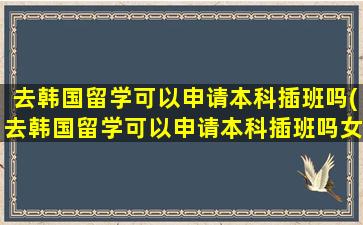 去韩国留学可以申请本科插班吗(去韩国留学可以申请本科插班吗女生)