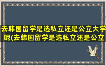 去韩国留学是选私立还是公立大学呢(去韩国留学是选私立还是公立大学呢好吗)