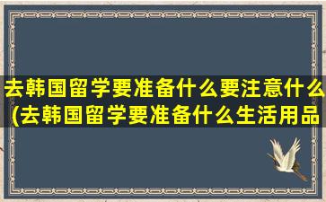 去韩国留学要准备什么要注意什么(去韩国留学要准备什么生活用品)