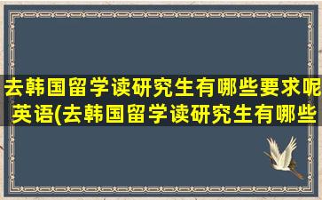 去韩国留学读研究生有哪些要求呢英语(去韩国留学读研究生有哪些要求呢女生)