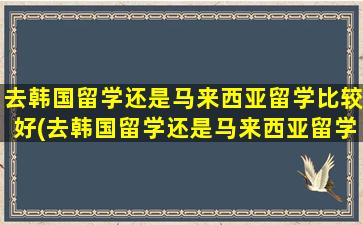 去韩国留学还是马来西亚留学比较好(去韩国留学还是马来西亚留学好些)