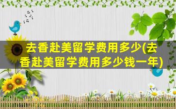 去香赴美留学费用多少(去香赴美留学费用多少钱一年)