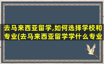 去马来西亚留学,如何选择学校和专业(去马来西亚留学学什么专业比较好)