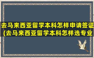 去马来西亚留学本科怎样申请签证(去马来西亚留学本科怎样选专业)