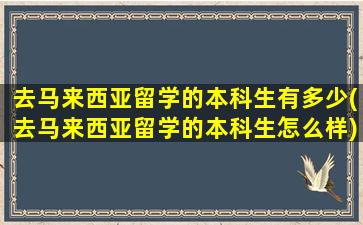 去马来西亚留学的本科生有多少(去马来西亚留学的本科生怎么样)