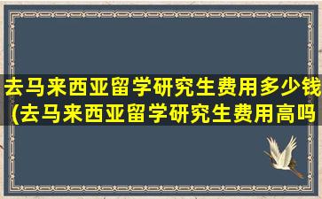 去马来西亚留学研究生费用多少钱(去马来西亚留学研究生费用高吗)