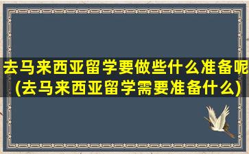 去马来西亚留学要做些什么准备呢(去马来西亚留学需要准备什么)