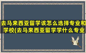 去马来西亚留学该怎么选择专业和学校(去马来西亚留学学什么专业比较好)