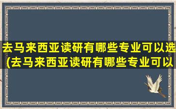 去马来西亚读研有哪些专业可以选(去马来西亚读研有哪些专业可以报)