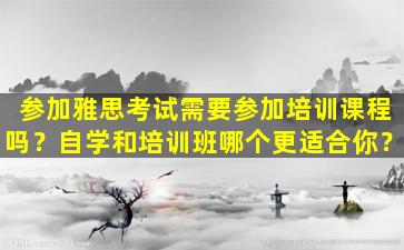 参加雅思考试需要参加培训课程吗？自学和培训班哪个更适合你？