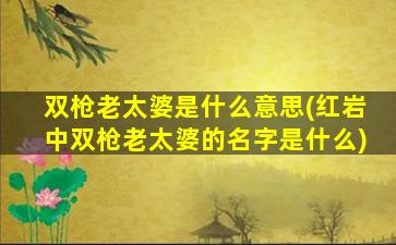 双枪老太婆是什么意思(红岩中双枪老太婆的名字是什么)