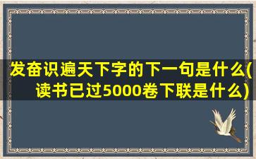 发奋识遍天下字的下一句是什么(读书已过5000卷下联是什么)