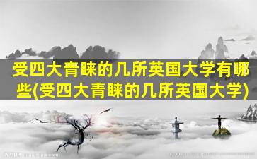 受四大青睐的几所英国大学有哪些(受四大青睐的几所英国大学)