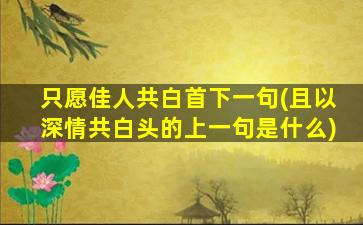 只愿佳人共白首下一句(且以深情共白头的上一句是什么)