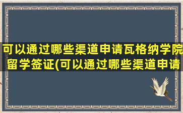 可以通过哪些渠道申请瓦格纳学院留学签证(可以通过哪些渠道申请瓦格纳学院留学研究生)